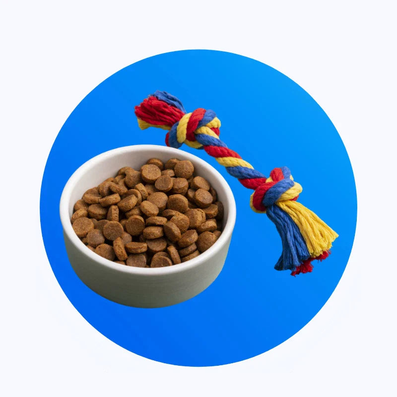 Pets